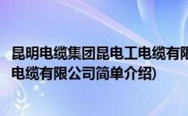 昆明电缆集团昆电工电缆有限公司(对于昆明电缆集团昆电工电缆有限公司简单介绍)