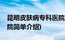 昆明皮肤病专科医院(对于昆明皮肤病专科医院简单介绍)
