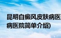 昆明白癜风皮肤病医院(对于昆明白癜风皮肤病医院简单介绍)
