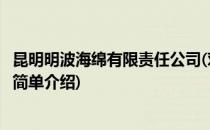 昆明明波海绵有限责任公司(对于昆明明波海绵有限责任公司简单介绍)