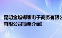 昆明金螳螂家电子商务有限公司(对于昆明金螳螂家电子商务有限公司简单介绍)