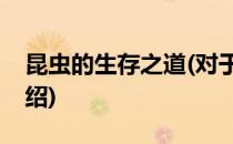 昆虫的生存之道(对于昆虫的生存之道简单介绍)