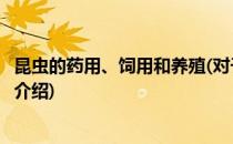 昆虫的药用、饲用和养殖(对于昆虫的药用、饲用和养殖简单介绍)