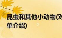 昆虫和其他小动物(对于昆虫和其他小动物简单介绍)