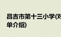 昌吉市第十三小学(对于昌吉市第十三小学简单介绍)