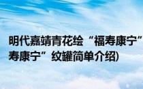 明代嘉靖青花绘“福寿康宁”纹罐(对于明代嘉靖青花绘“福寿康宁”纹罐简单介绍)