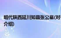 明代陕西延川知县张公墓(对于明代陕西延川知县张公墓简单介绍)