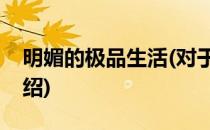 明媚的极品生活(对于明媚的极品生活简单介绍)