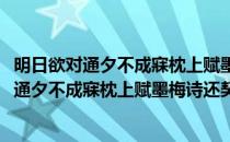 明日欲对通夕不成寐枕上赋墨梅诗还契师宿逋(对于明日欲对通夕不成寐枕上赋墨梅诗还契师宿逋简单介绍)