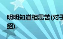 明明知道相思苦(对于明明知道相思苦简单介绍)