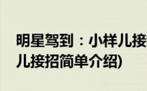 明星驾到：小样儿接招(对于明星驾到：小样儿接招简单介绍)