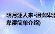 明月逐人来·沮洳卑湿(对于明月逐人来·沮洳卑湿简单介绍)