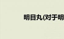 明目丸(对于明目丸简单介绍)