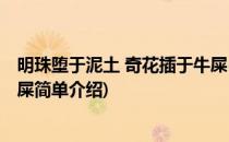 明珠堕于泥土 奇花插于牛屎(对于明珠堕于泥土 奇花插于牛屎简单介绍)