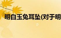 明白玉兔耳坠(对于明白玉兔耳坠简单介绍)