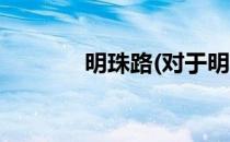 明珠路(对于明珠路简单介绍)