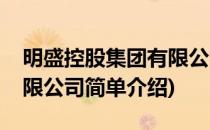 明盛控股集团有限公司(对于明盛控股集团有限公司简单介绍)
