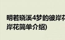 明若晓溪4梦的彼岸花(对于明若晓溪4梦的彼岸花简单介绍)