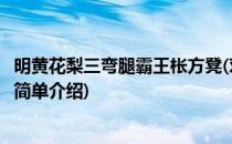 明黄花梨三弯腿霸王枨方凳(对于明黄花梨三弯腿霸王枨方凳简单介绍)