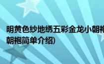 明黄色纱地绣五彩金龙小朝袍(对于明黄色纱地绣五彩金龙小朝袍简单介绍)