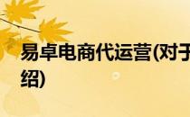 易卓电商代运营(对于易卓电商代运营简单介绍)