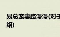 易总宠妻路漫漫(对于易总宠妻路漫漫简单介绍)