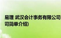 易理 武汉会计事务有限公司(对于易理 武汉会计事务有限公司简单介绍)
