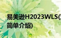 易美逊H2023WLS(对于易美逊H2023WLS简单介绍)