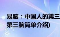 易脑：中国人的第三脑(对于易脑：中国人的第三脑简单介绍)