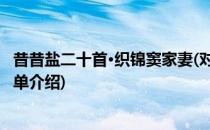 昔昔盐二十首·织锦窦家妻(对于昔昔盐二十首·织锦窦家妻简单介绍)