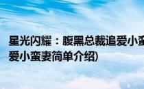 星光闪耀：腹黑总裁追爱小蛮妻(对于星光闪耀：腹黑总裁追爱小蛮妻简单介绍)