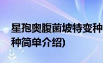 星孢奥腹菌坡特变种(对于星孢奥腹菌坡特变种简单介绍)