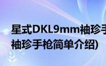 星式DKL9mm袖珍手枪(对于星式DKL9mm袖珍手枪简单介绍)