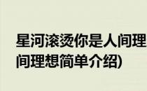 星河滚烫你是人间理想(对于星河滚烫你是人间理想简单介绍)