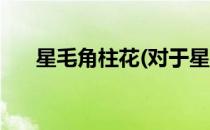 星毛角柱花(对于星毛角柱花简单介绍)