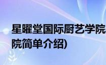 星曜堂国际厨艺学院(对于星曜堂国际厨艺学院简单介绍)