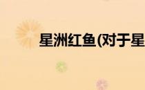 星洲红鱼(对于星洲红鱼简单介绍)