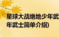 星球大战绝地少年武士(对于星球大战绝地少年武士简单介绍)