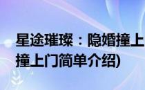 星途璀璨：隐婚撞上门(对于星途璀璨：隐婚撞上门简单介绍)