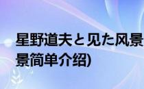 星野道夫と见た风景(对于星野道夫と见た风景简单介绍)
