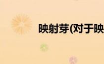 映射芽(对于映射芽简单介绍)
