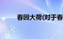 春园大荷(对于春园大荷简单介绍)