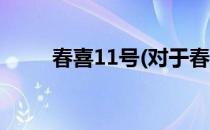 春喜11号(对于春喜11号简单介绍)