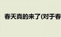 春天真的来了(对于春天真的来了简单介绍)