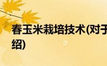 春玉米栽培技术(对于春玉米栽培技术简单介绍)