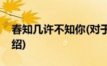 春知几许不知你(对于春知几许不知你简单介绍)