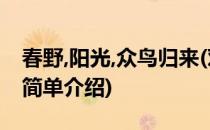 春野,阳光,众鸟归来(对于春野,阳光,众鸟归来简单介绍)