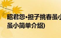 昭君怨·担子挑春虽小(对于昭君怨·担子挑春虽小简单介绍)
