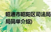 昭通市昭阳区司法局(对于昭通市昭阳区司法局简单介绍)