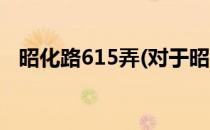 昭化路615弄(对于昭化路615弄简单介绍)